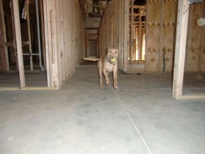 October-8_2010  - 02