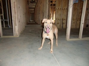 October-8_2010  - 04