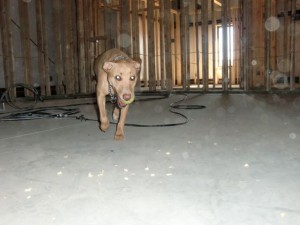 October-8_2010  - 08