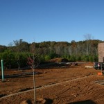 November_11_2010 - 03