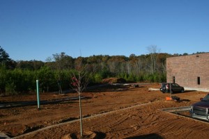 November_11_2010 - 03