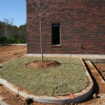 November_11_2010 - 24