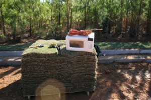 November_11_2010 - 27