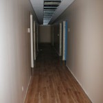 November 24 2010 - 19