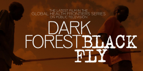DarkForestBlackFly Image