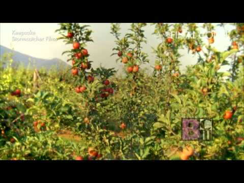 Biscardi Creative Media Demonstration Reel